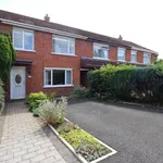 Rent 3 bedroom house in Lisburn