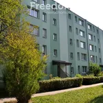 Rent 2 bedroom apartment of 43 m² in Gliwice