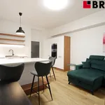 Rent 3 bedroom apartment of 76 m² in Brno