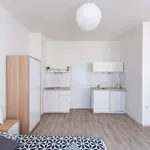 Rent 1 bedroom apartment of 32 m² in Prague