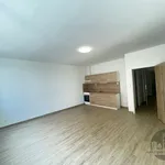 Rent 1 bedroom apartment of 36 m² in Praha