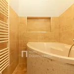 Rent 3 bedroom apartment of 99 m² in Prague