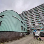 Huur 1 slaapkamer appartement van 42 m² in Groningen