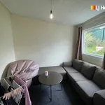 Rent 3 bedroom apartment in Dunedin