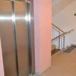 Rent 1 bedroom apartment of 36 m² in Praha