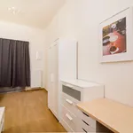 Rent 5 bedroom apartment in Prague