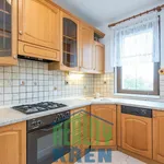 Rent 3 bedroom apartment of 75 m² in Capital City of Prague