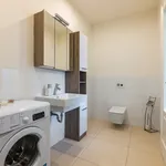 Pronajměte si 1 ložnic/e byt o rozloze 55 m² v Prague