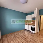 Rent 1 bedroom apartment in České Budějovice