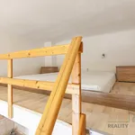 Rent 1 bedroom apartment in Brno