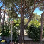 Rent 2 bedroom apartment of 38 m² in Argelès-sur-Mer