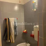 Rent 1 bedroom apartment of 35 m² in Turin