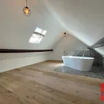 Rent 1 bedroom apartment in Antwerpen