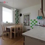 Rent 4 bedroom apartment of 70 m² in Brno