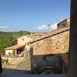 Affitto 3 camera appartamento di 50 m² in Magliano in Toscana