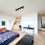 Rent 1 bedroom apartment in Leuven