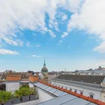 Rent 3 bedroom apartment of 135 m² in Wien