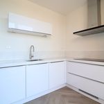 Apartment for rent in Mies Van Der Rohestraat 103, 2132 HR Hoofddorp