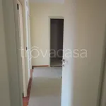 Rent 4 bedroom apartment of 100 m² in Bari