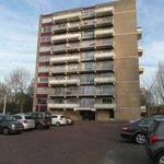 Grote Beer, Amstelveen - Amsterdam Apartments for Rent