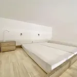 Rent 1 bedroom apartment in Brno