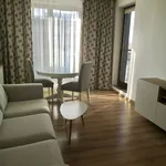 Rent 2 bedroom apartment of 50 m² in Wrocław