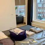 Huur 1 slaapkamer appartement van 42 m² in Den Haag