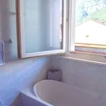 Rent a room in trento