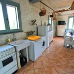 Rent 4 bedroom house of 100 m² in Montalto di Castro