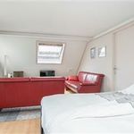 Huur 1 slaapkamer appartement van 48 m² in Nijmegen