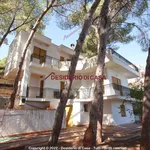 Rent 5 bedroom house of 192 m² in Altavilla Milicia