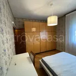 Rent 4 bedroom apartment of 120 m² in Padova