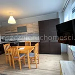 Rent 2 bedroom apartment of 49 m² in Bydgoszcz