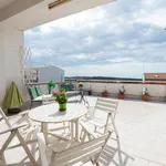 Rent 3 bedroom apartment of 77 m² in Vittoria