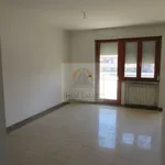 Affitto 3 camera appartamento di 76 m² in Carrara