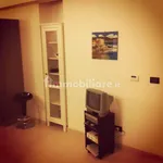 Rent 1 bedroom apartment of 45 m² in Turin