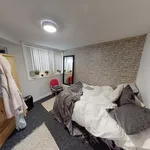 Rent 1 bedroom student apartment in 13