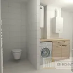 Pronajměte si 2 ložnic/e byt o rozloze 44 m² v Příbram