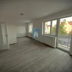 Rent 1 bedroom apartment in Plzeň