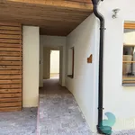 Rent 4 bedroom apartment of 115 m² in České Budějovice