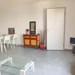 Rent 2 bedroom apartment of 45 m² in Toulouse