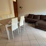 Rent 4 bedroom apartment of 107 m² in Siena