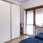 Rent 1 bedroom apartment in rome