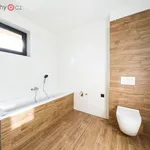 Rent 1 bedroom house of 179 m² in Plzeň