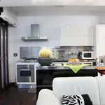 Rent 3 bedroom apartment of 100 m² in Roma