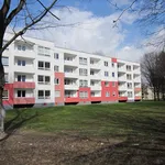 Rent 2 bedroom apartment of 55 m² in Dortmund