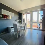 Rent 2 bedroom apartment of 45 m² in Milano