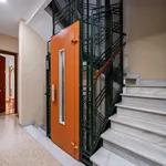 Rent 6 bedroom apartment in Madrid