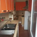 Rent 3 bedroom apartment of 80 m² in Genoa