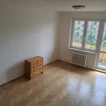 Rent 3 bedroom apartment in Praha 10